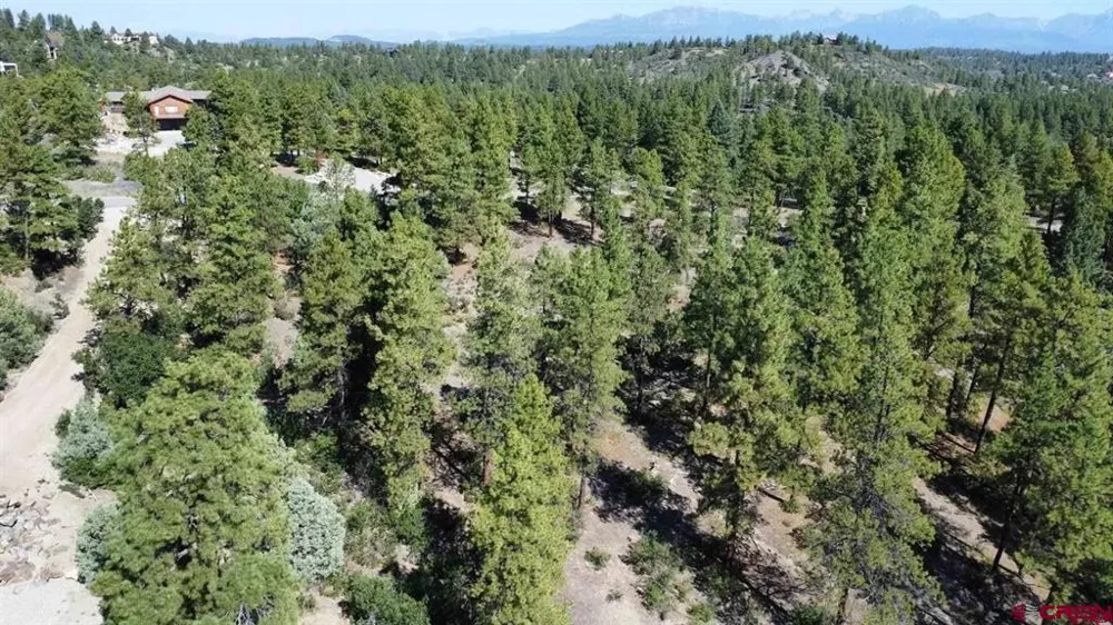 511 Cool Pines Drive Pagosa Springs, CO 81147