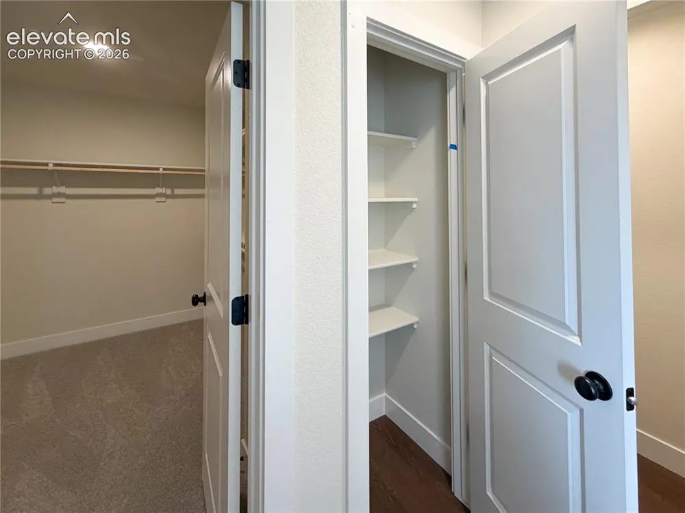 8246 Lemon Grass Road Falcon, CO 80831