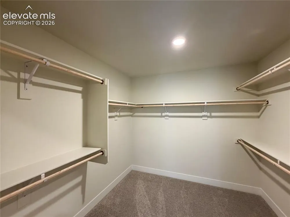 8246 Lemon Grass Road Falcon, CO 80831