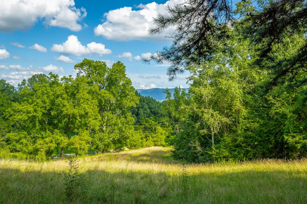 93 Bell Summers Road Pikeville, TN 37367