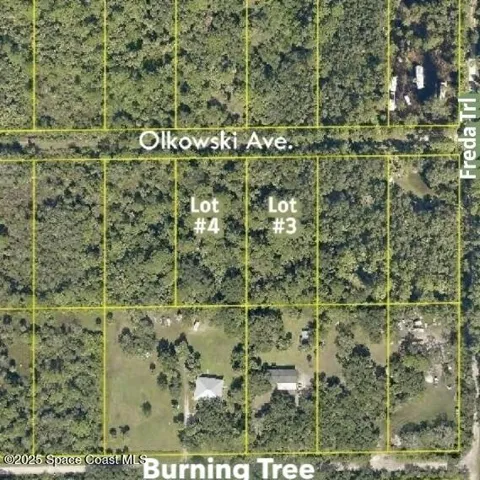 Olkowski Avenue