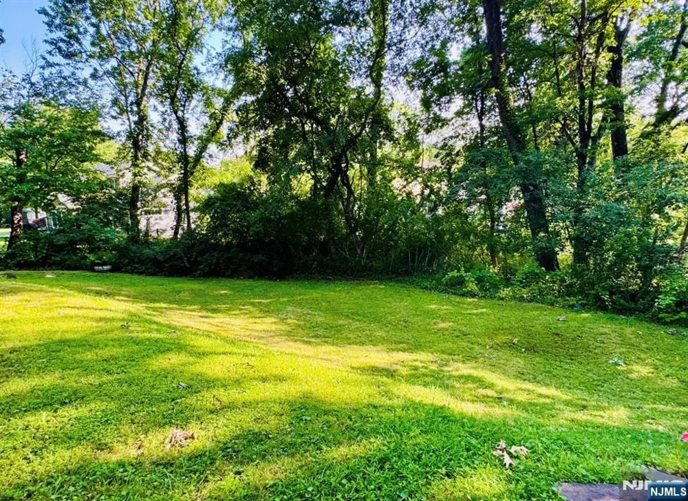 53 Old Wood Road Morris Plainsugh, NJ 07950