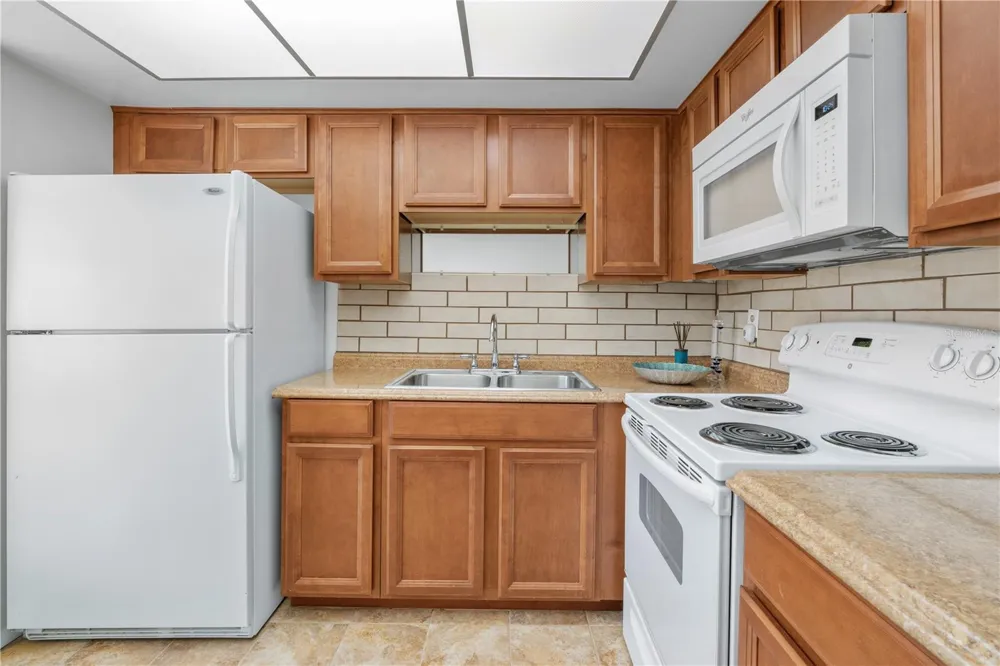 7801 11TH STREET #302 St Petersburg, FL 33702