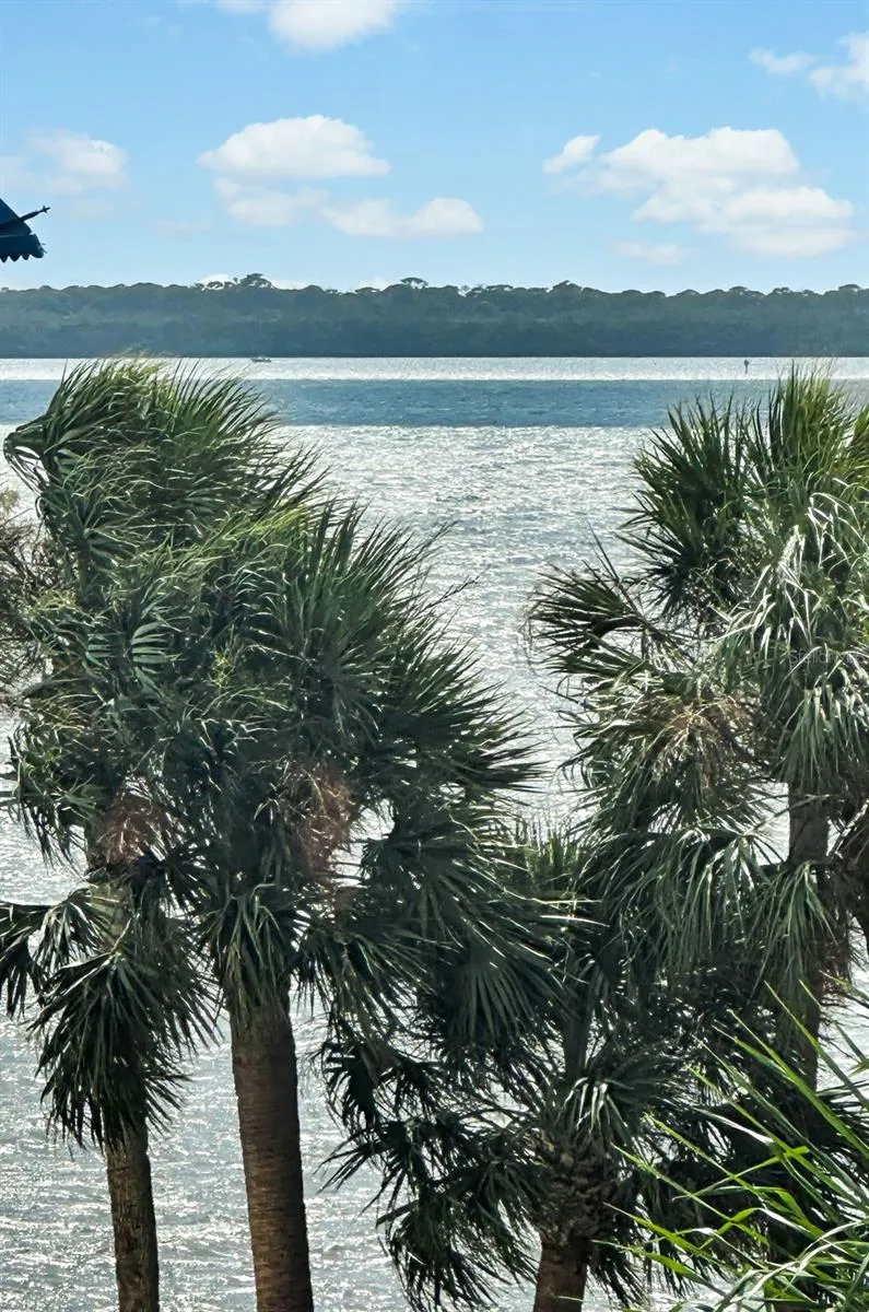 1340 BAYSHORE BOULEVARD #304 Dunedin, FL 34698