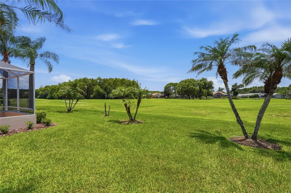 1063 DARTFORD DRIVE Tarpon Springs, FL 34688