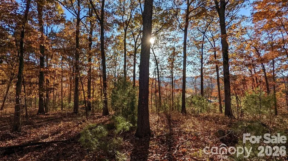 512 Wild River Run #65 Marshall, NC 28753