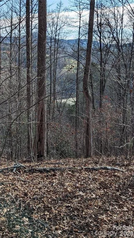 512 Wild River Run #65 Marshall, NC 28753