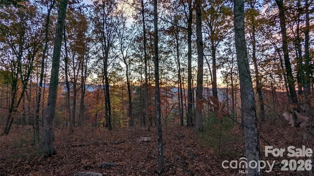 512 Wild River Run #65 Marshall, NC 28753