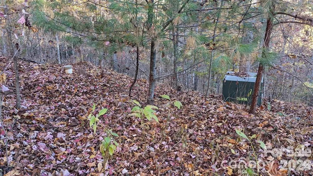 512 Wild River Run #65 Marshall, NC 28753