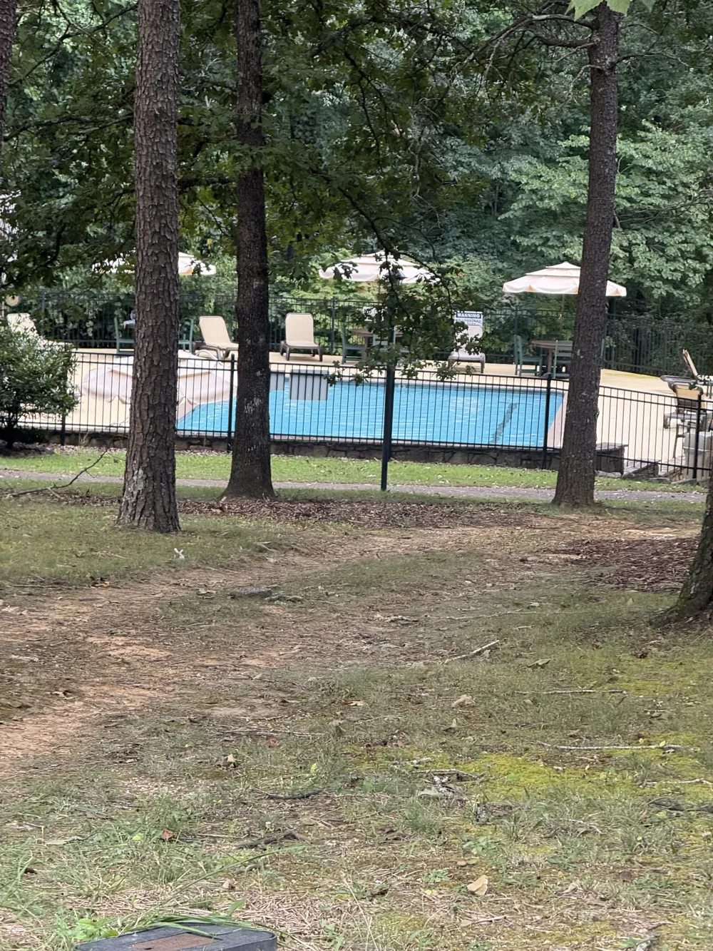 2220 Sarvisberry Pl Monteagle, TN 37356