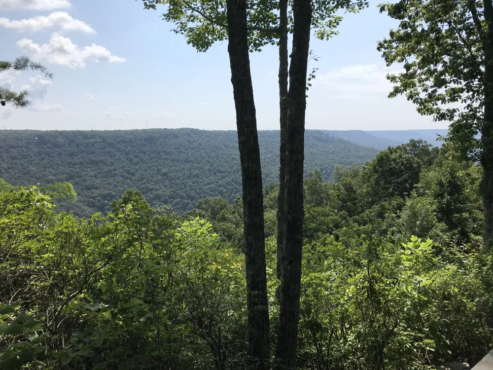 2220 Sarvisberry Pl Monteagle, TN 37356