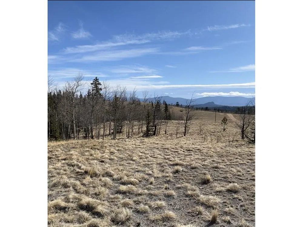 325 Shoshone Drive Como, CO 80456