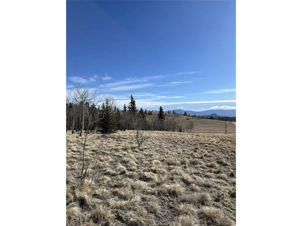 325 Shoshone Drive Como, CO 80456