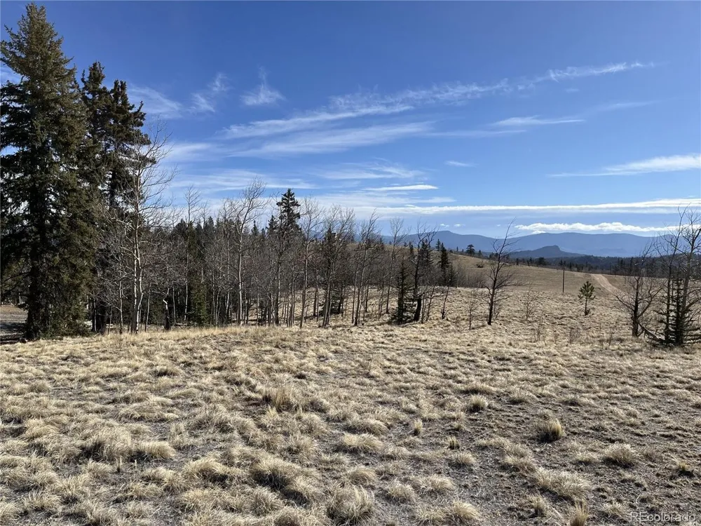 325 Shoshone Drive Como, CO 80456