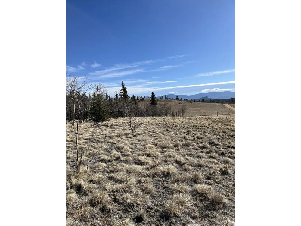 325 Shoshone Drive Como, CO 80456