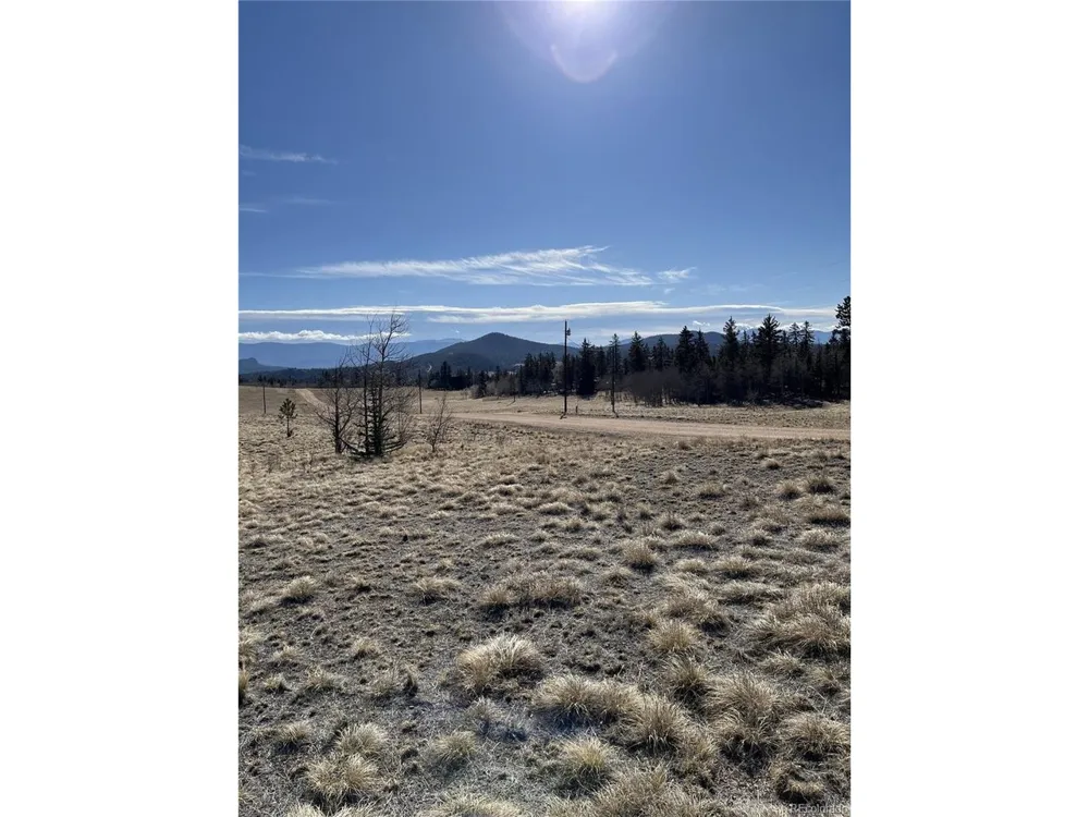 325 Shoshone Drive Como, CO 80456