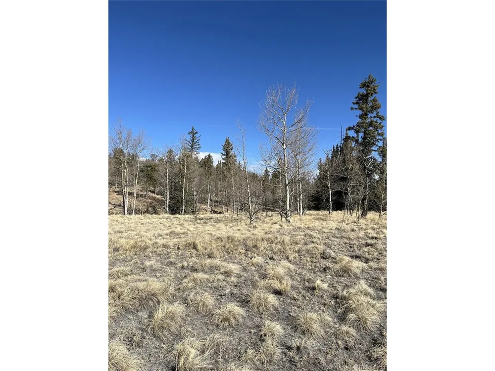 325 Shoshone Drive Como, CO 80456