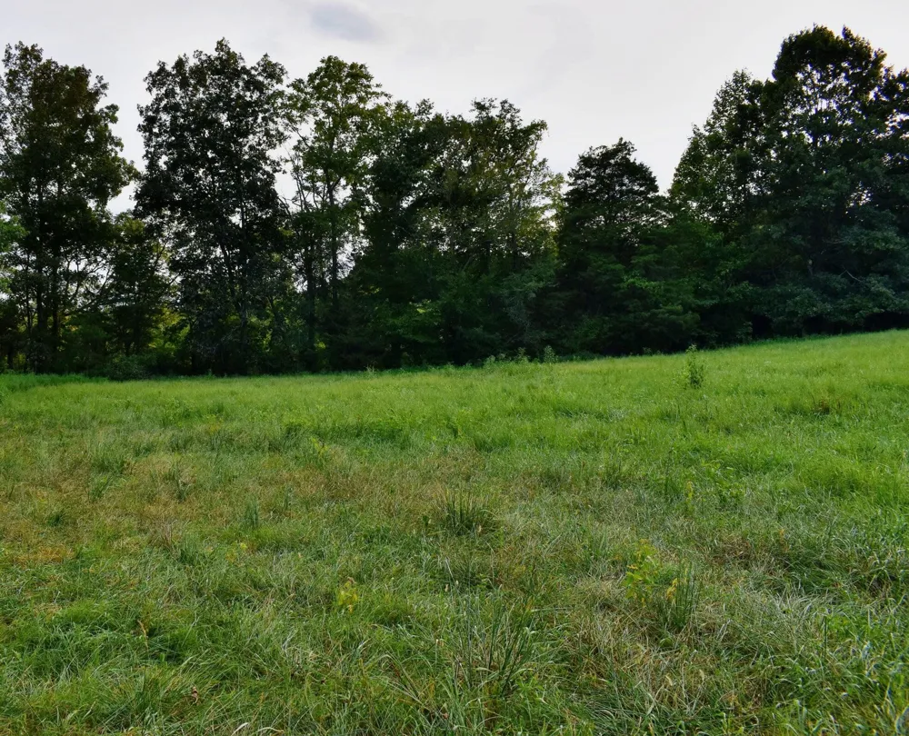9415 Old State Highway 28 Pikeville, TN 37367
