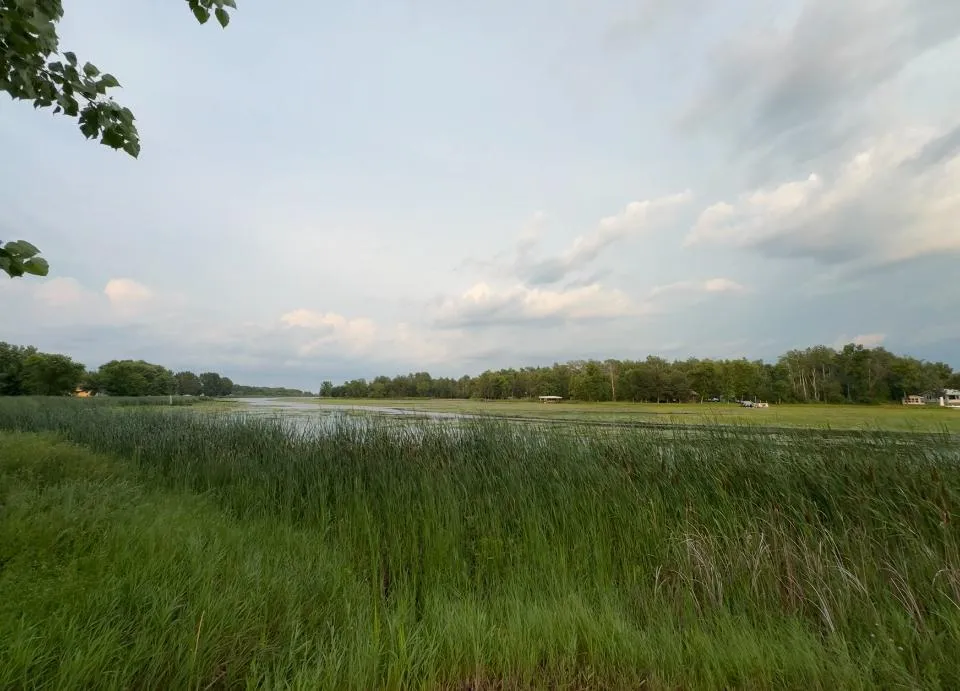 6483 Walleye Lane NW Williams, MN 56686