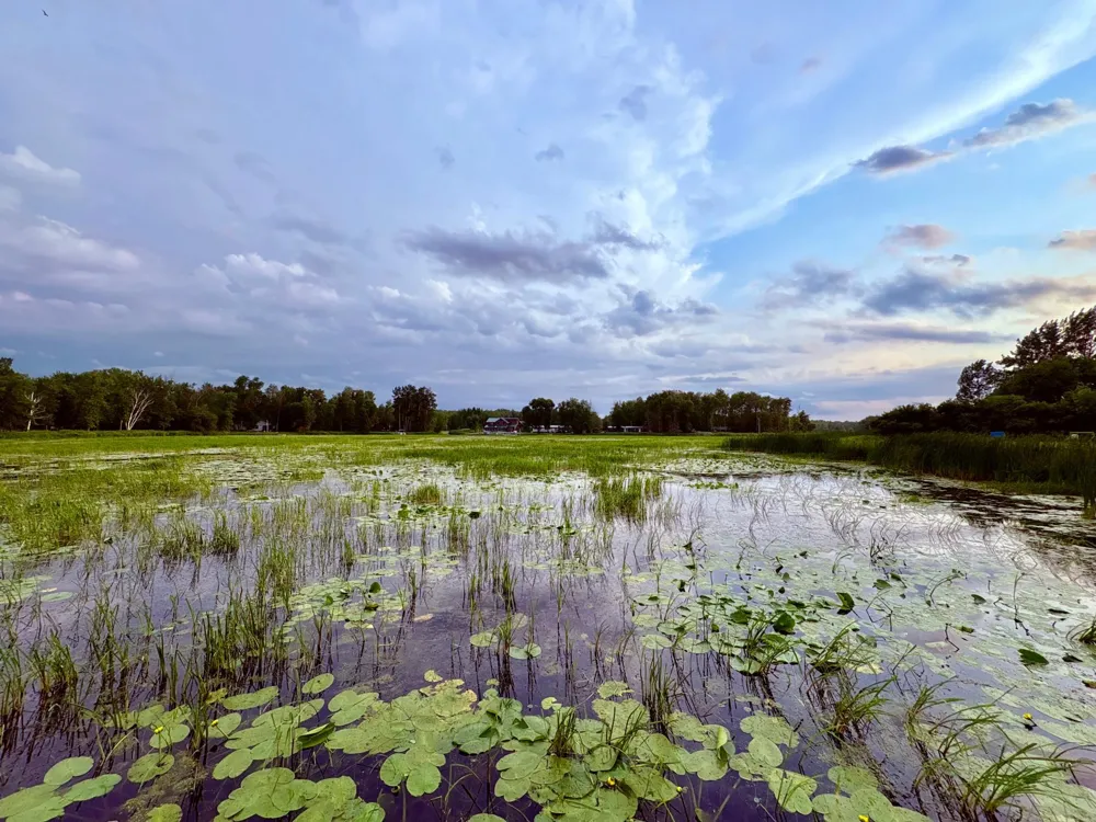 6483 Walleye Lane NW Williams, MN 56686