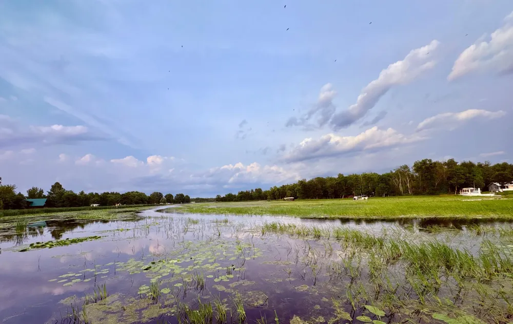 6483 Walleye Lane NW Williams, MN 56686