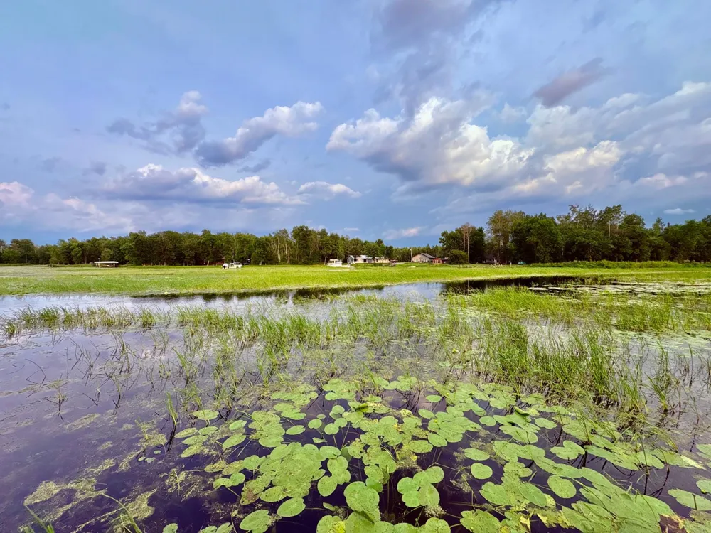 6483 Walleye Lane NW Williams, MN 56686