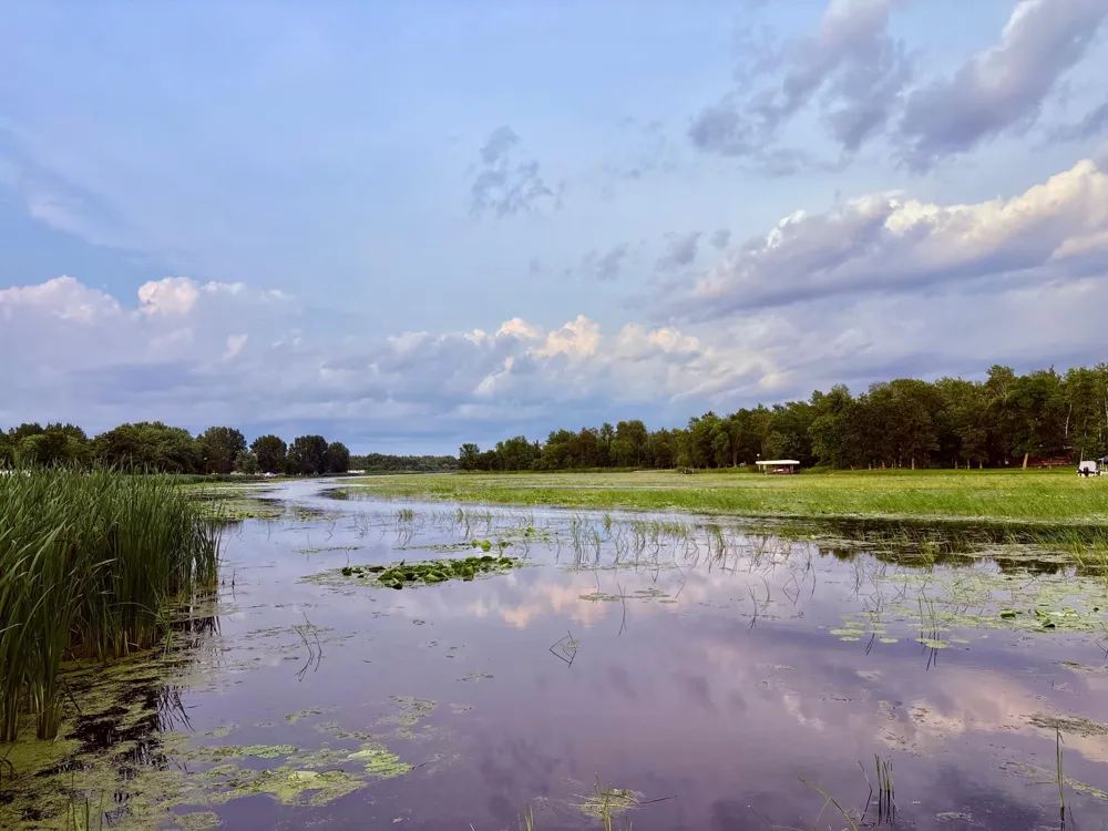 6483 Walleye Lane NW Williams, MN 56686