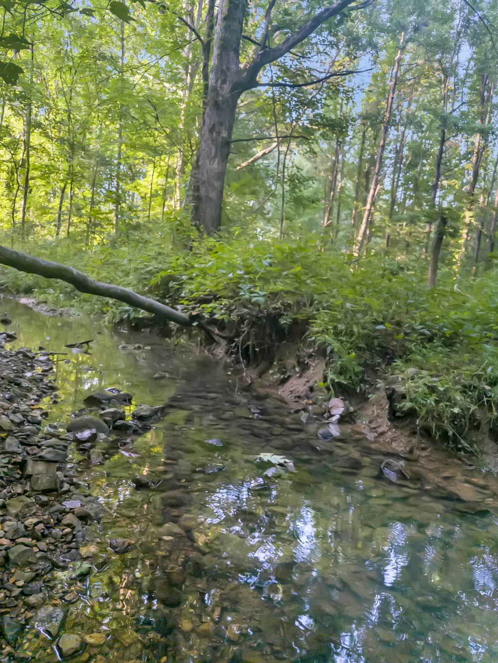 5000 Highway 100 Lyles, TN 37098