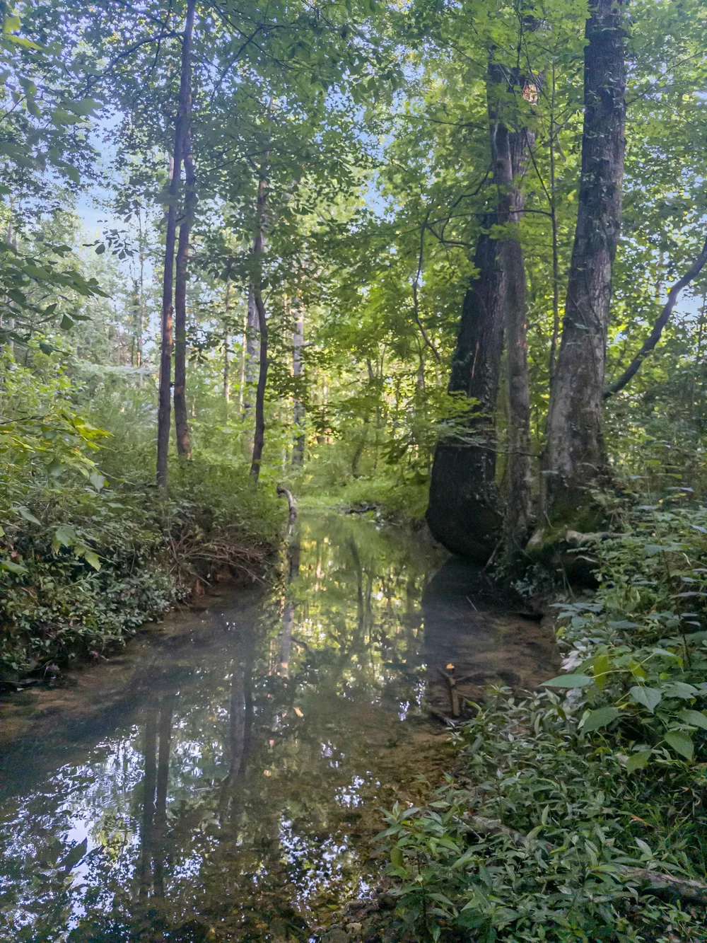 5000 Highway 100 Lyles, TN 37098