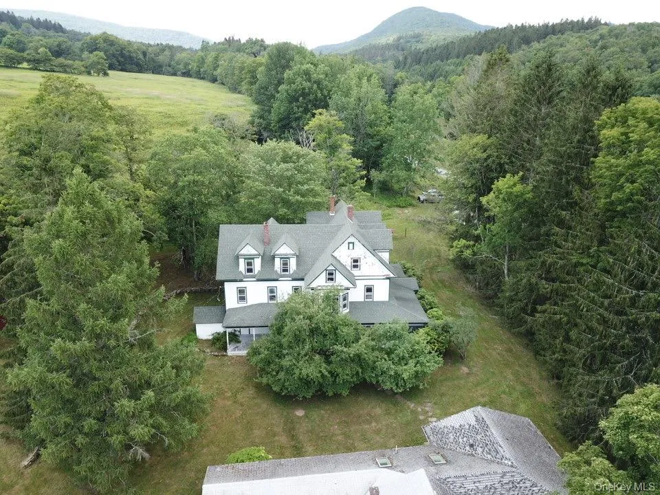 109 Mary Smith Hill Road Livingston Manor, NY 12758