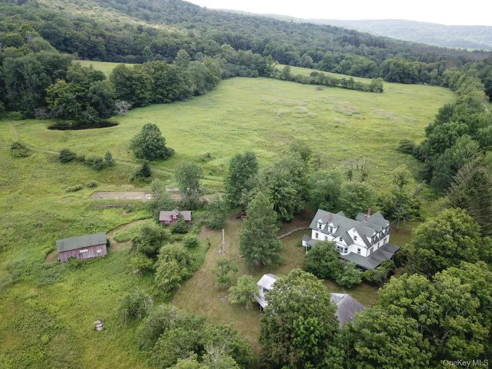 109 Mary Smith Hill Road Livingston Manor, NY 12758