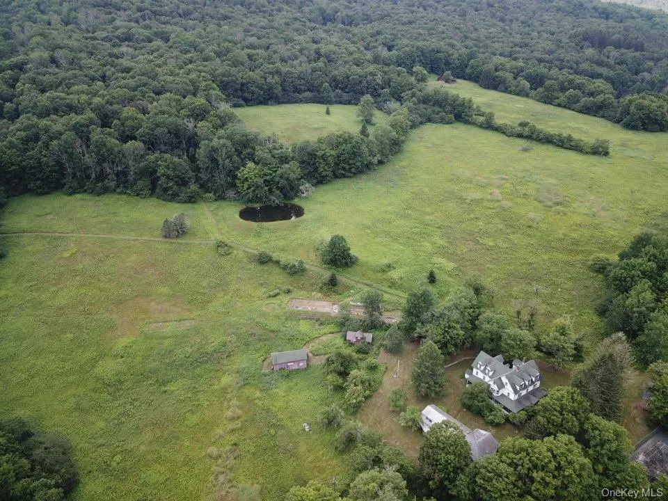 109 Mary Smith Hill Road Livingston Manor, NY 12758