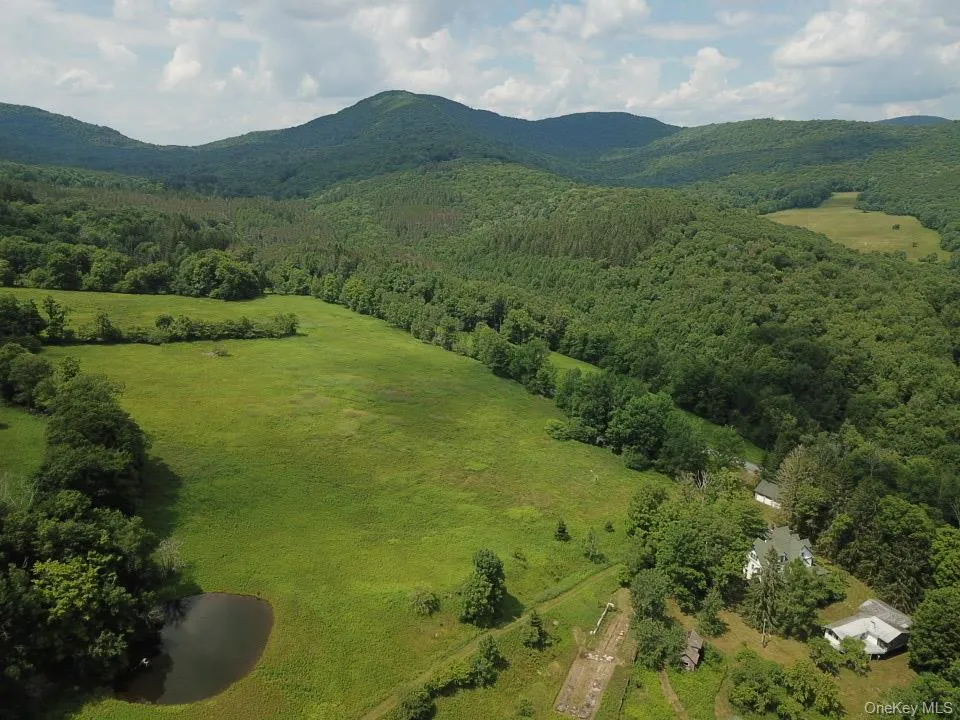 109 Mary Smith Hill Road Livingston Manor, NY 12758