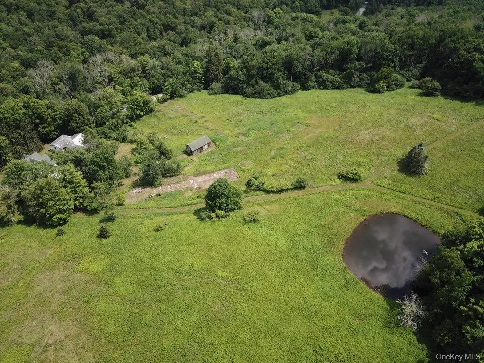 109 Mary Smith Hill Road Livingston Manor, NY 12758