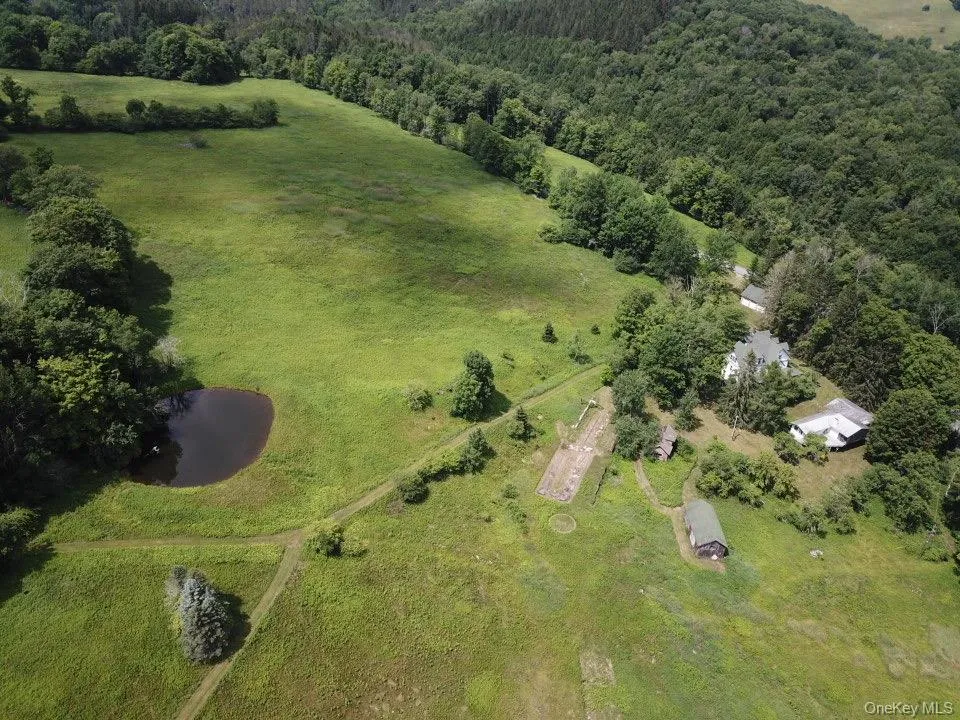 109 Mary Smith Hill Road Livingston Manor, NY 12758
