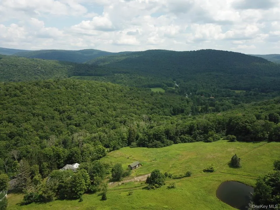 109 Mary Smith Hill Road Livingston Manor, NY 12758