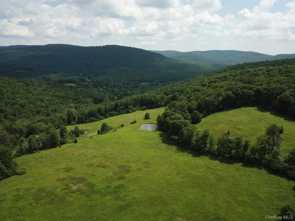 109 Mary Smith Hill Road Livingston Manor, NY 12758