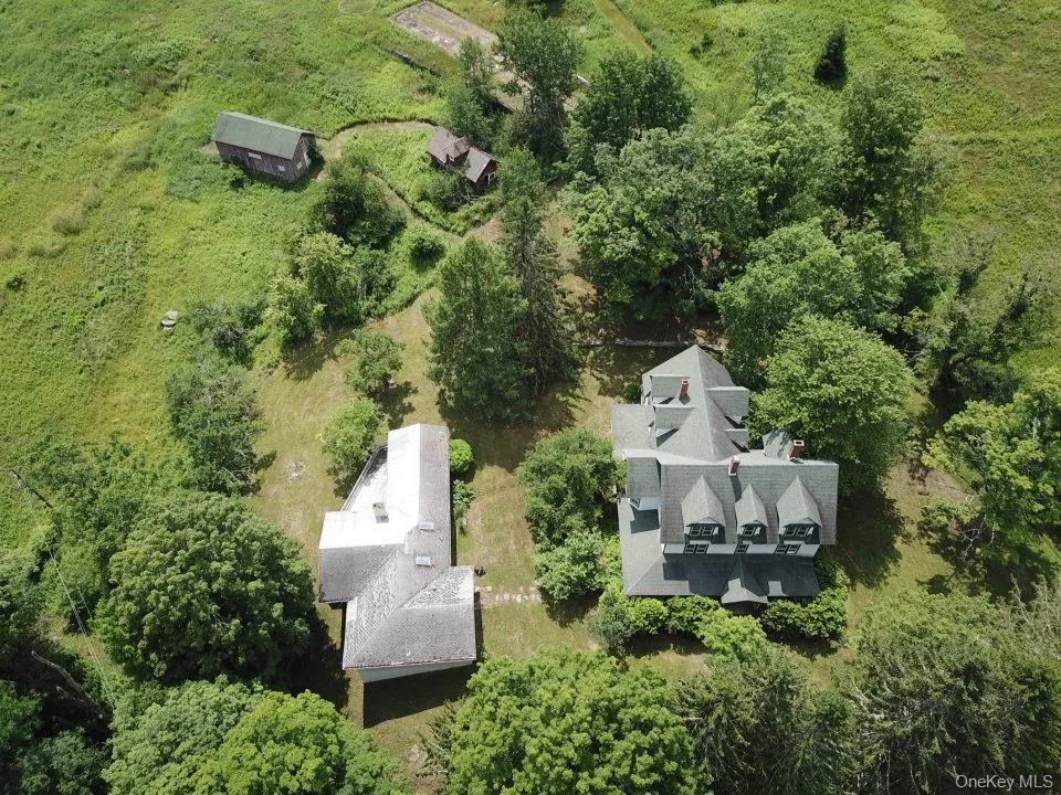 109 Mary Smith Hill Road Livingston Manor, NY 12758