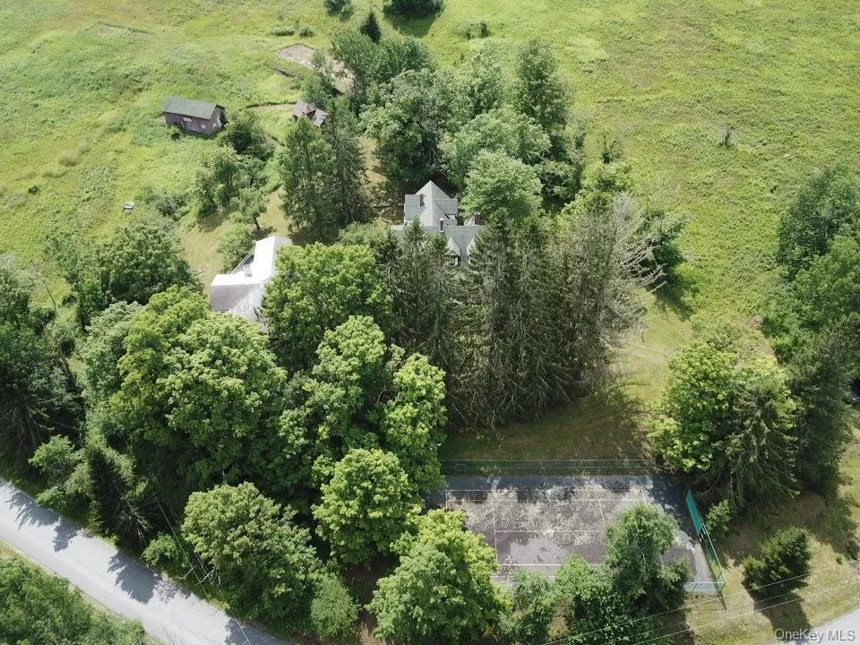 109 Mary Smith Hill Road Livingston Manor, NY 12758