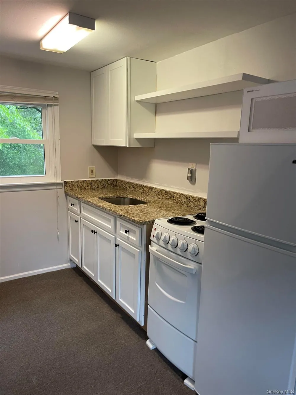 206 Dickinson Avenue East Northport, NY 11731