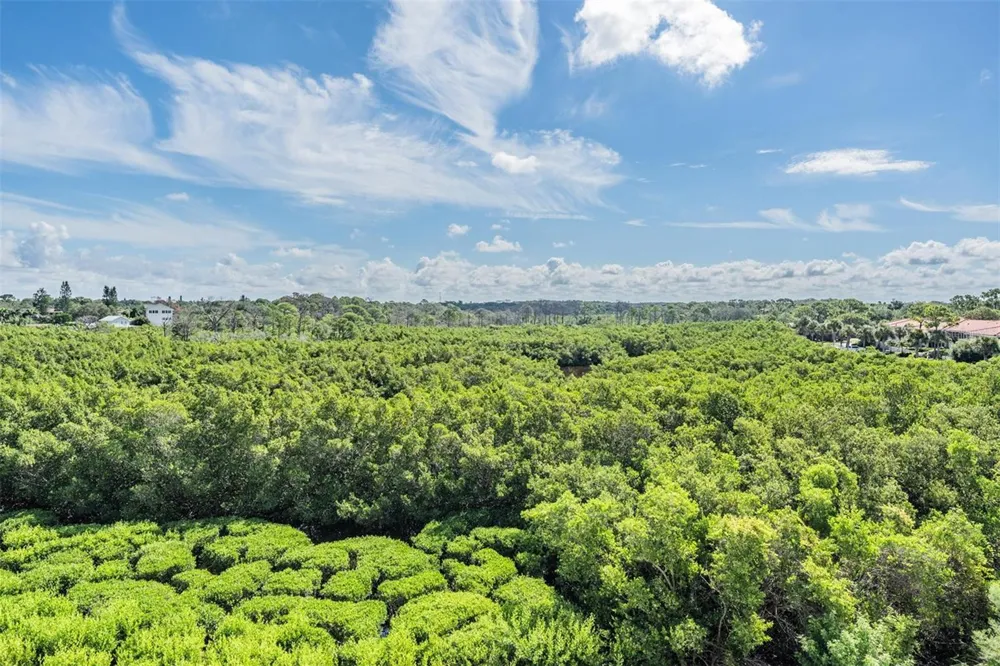 244 MARINER DRIVE #244 Tarpon Springs, FL 34689