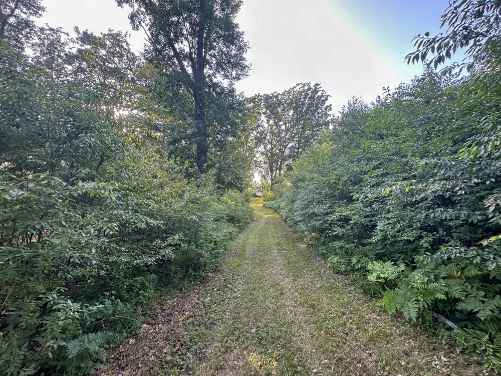 17219 7 Mile Road Reed City, MI 49677