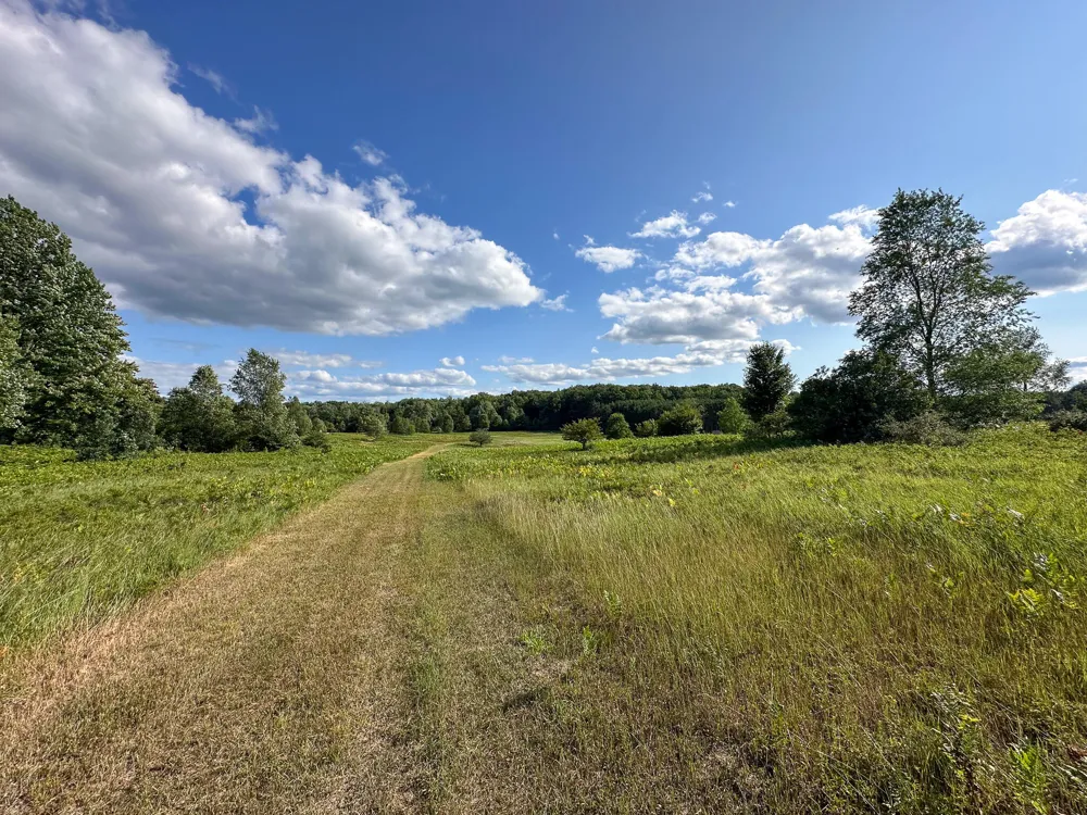 17219 7 Mile Road Reed City, MI 49677