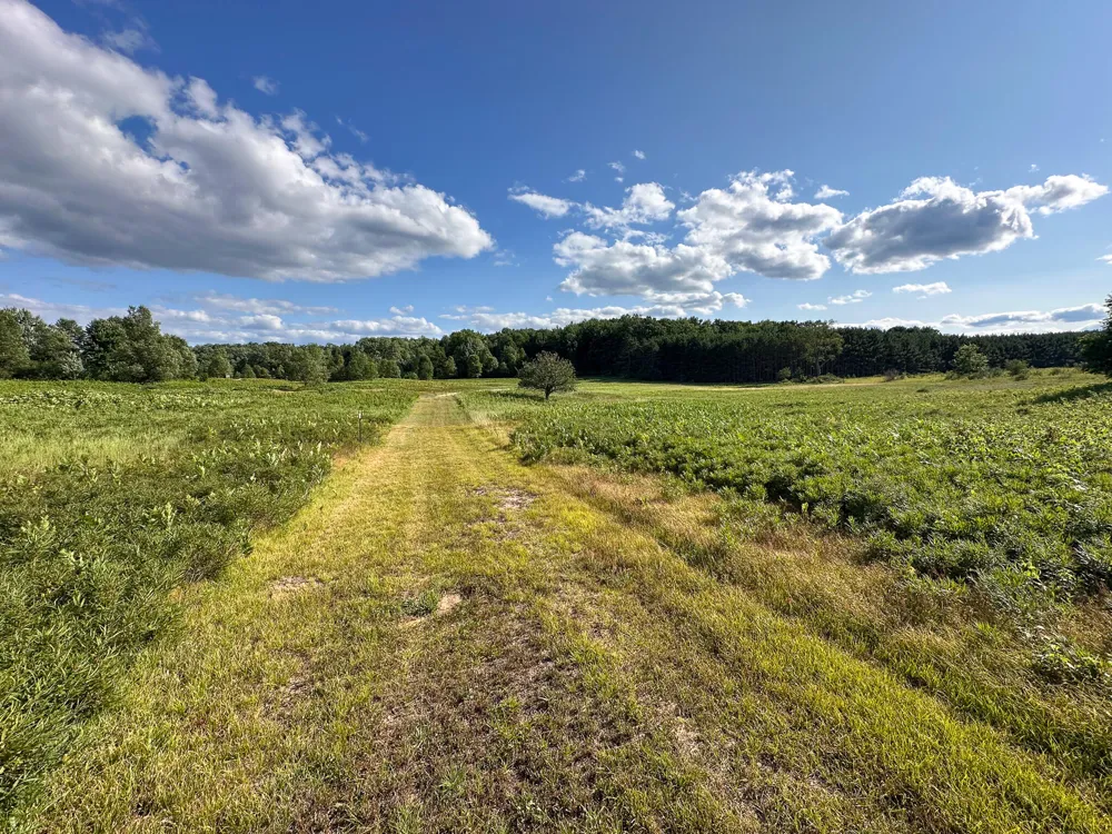 17219 7 Mile Road Reed City, MI 49677