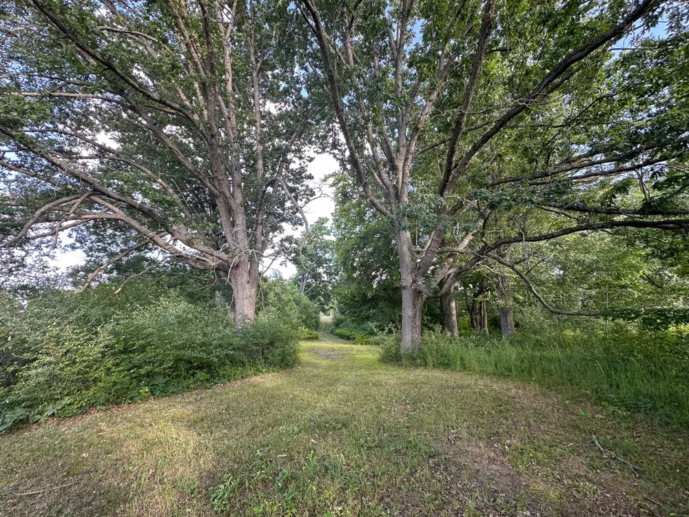 17219 7 Mile Road Reed City, MI 49677