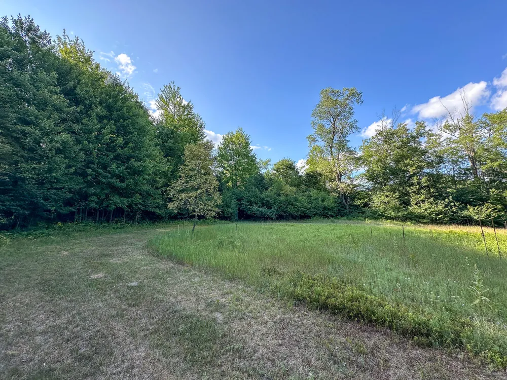 17219 7 Mile Road Reed City, MI 49677