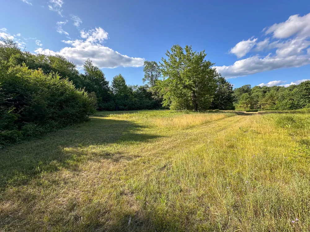 17219 7 Mile Road Reed City, MI 49677