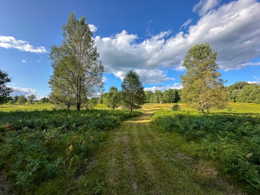 17219 7 Mile Road Reed City, MI 49677