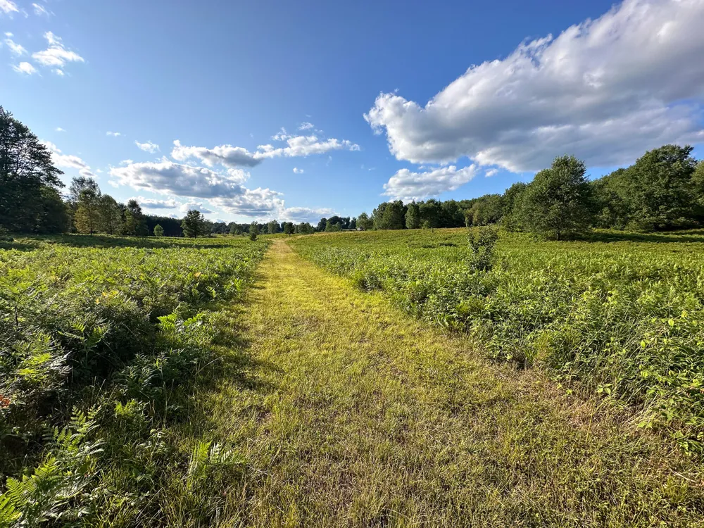 17219 7 Mile Road Reed City, MI 49677