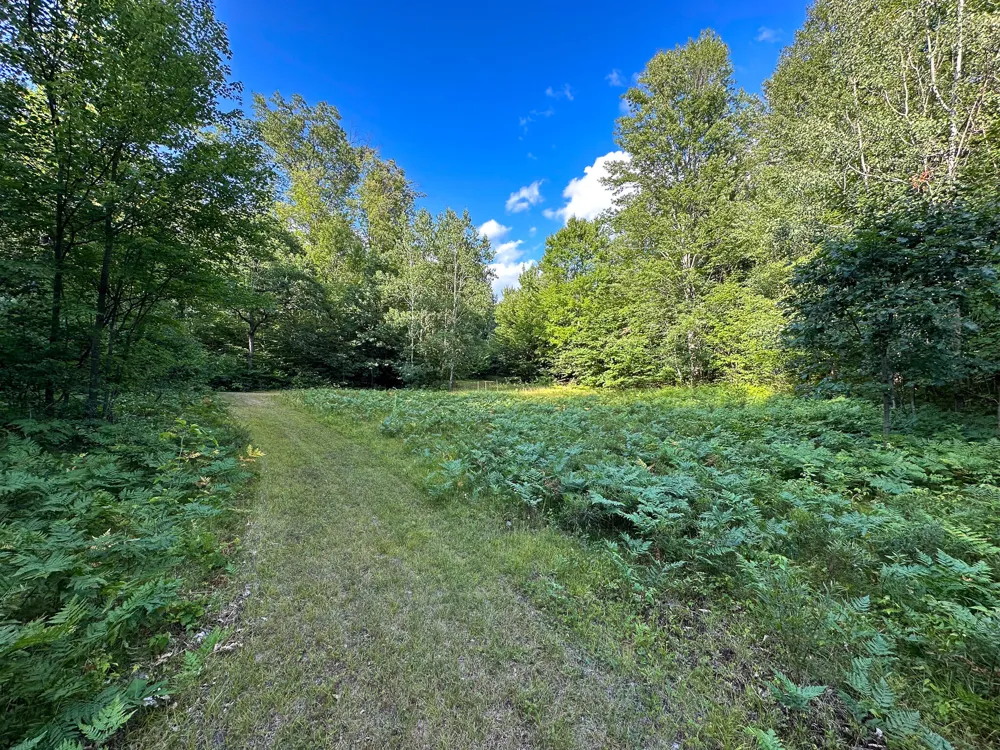 17219 7 Mile Road Reed City, MI 49677